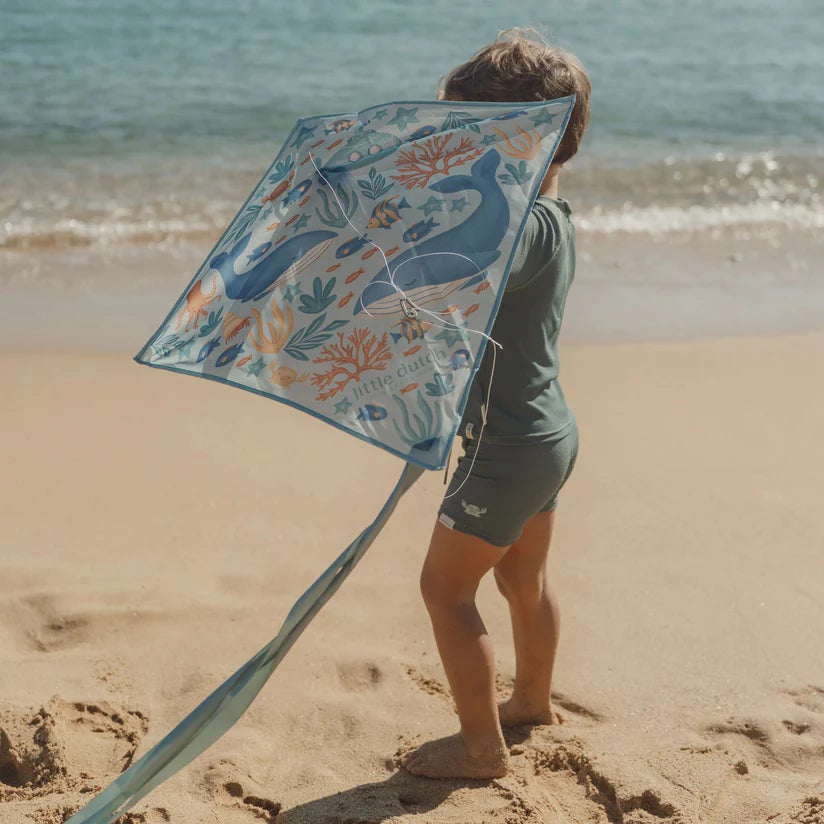 Cerf-volant - Ocean World