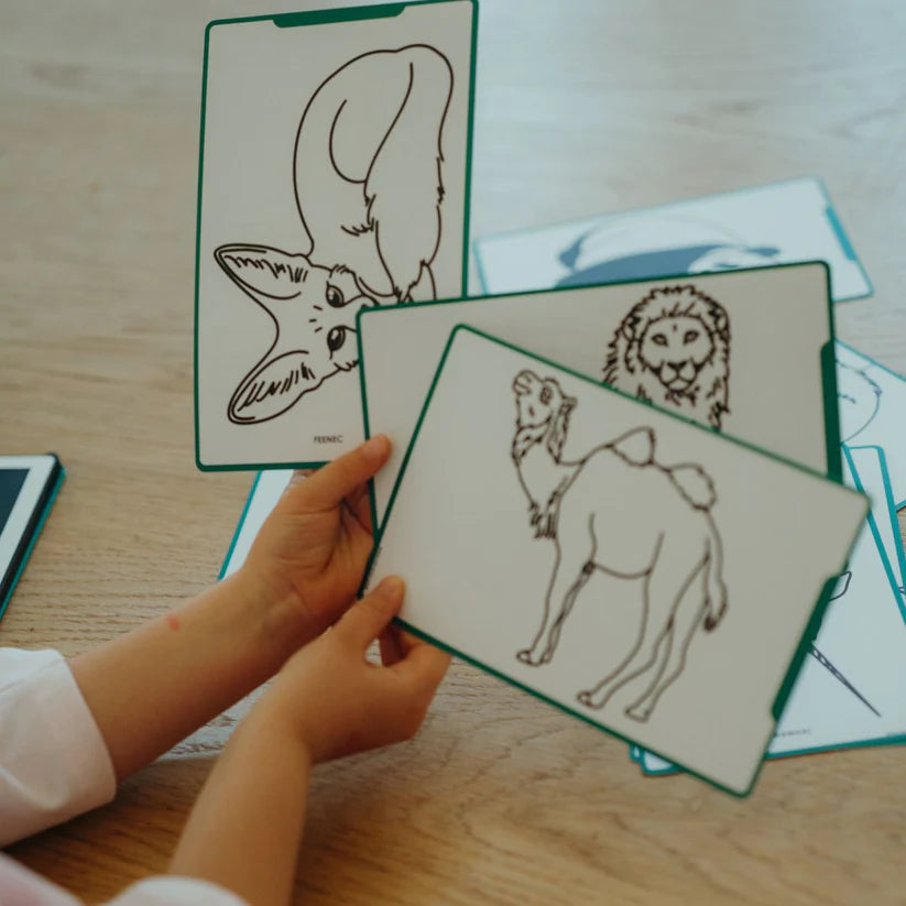 Cartes supplémentaires KIDYDRAW MINI - Thèmes "Animaux autour du monde et Océans & Pirates "