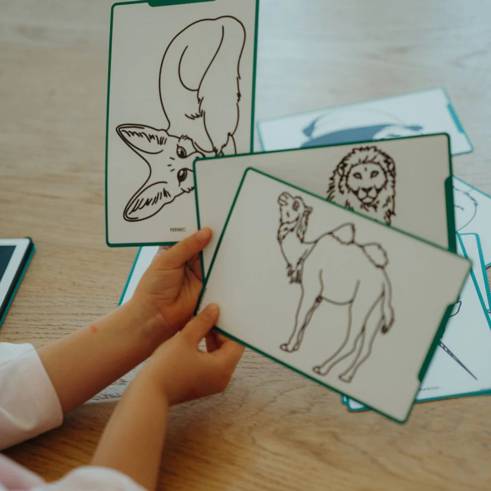 Tablette à dessin - KIDYDRAW MINI - Animaux autour du monde