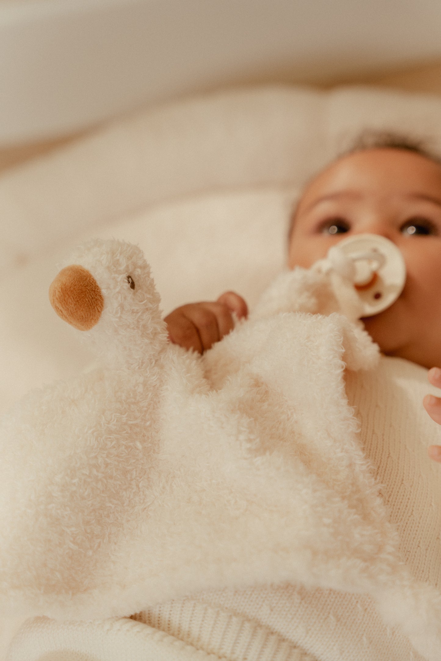 Doudou Oie - Newborn Naturals