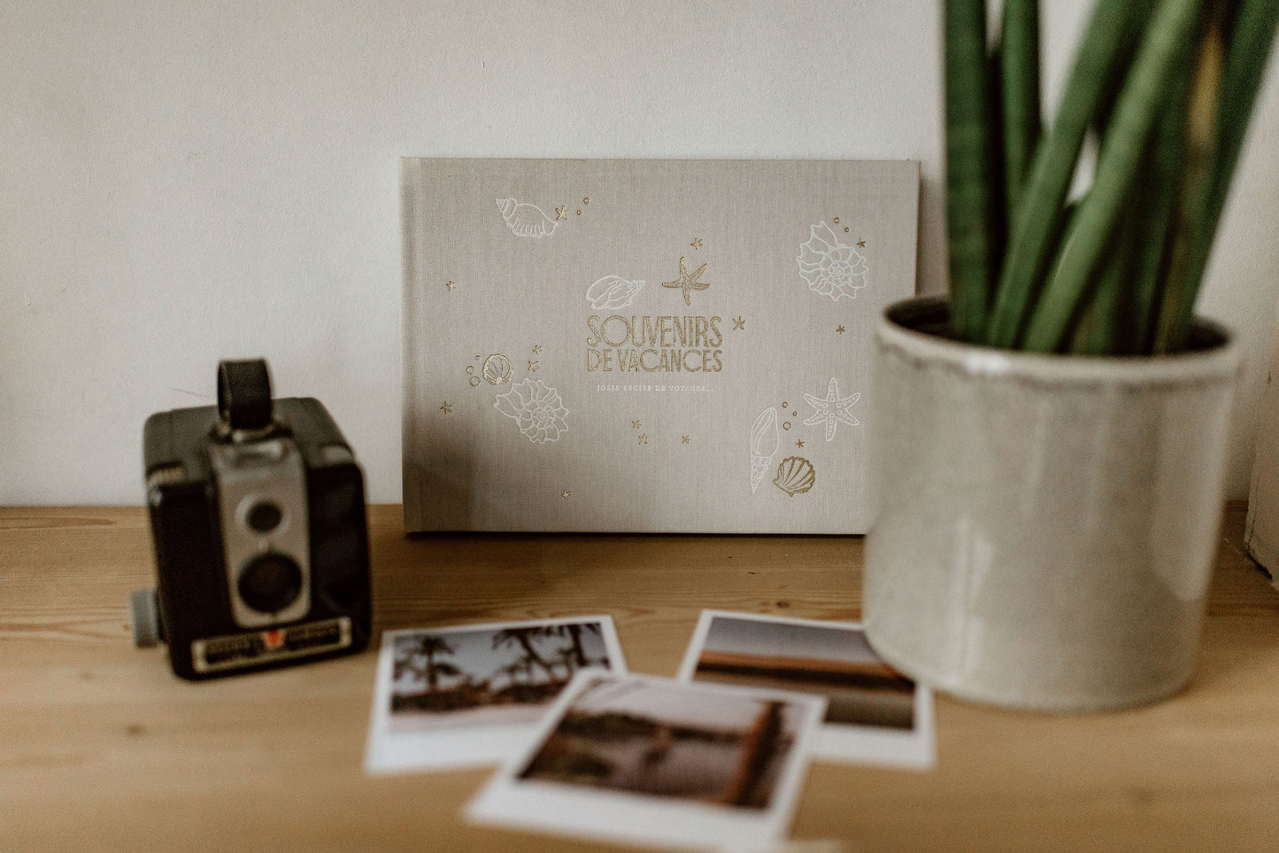 Livre " Souvenirs de vacances "