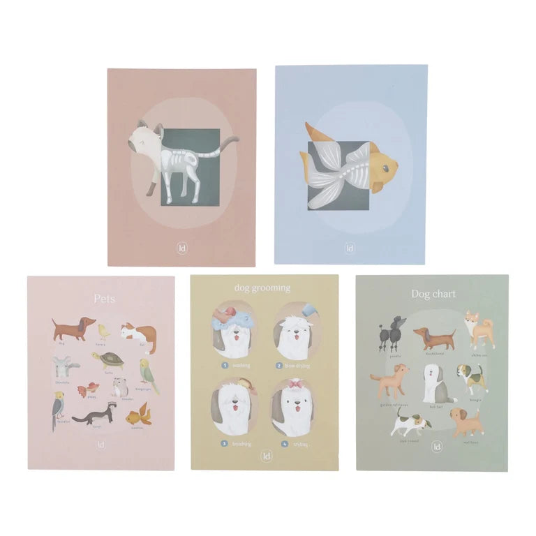 Cabinet de vétérinaire en bois