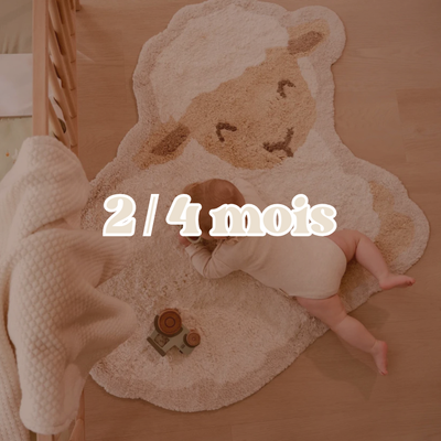 2 / 4 mois