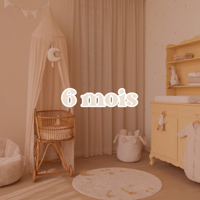 6 mois