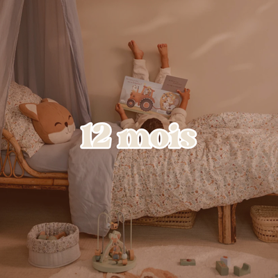 12 mois