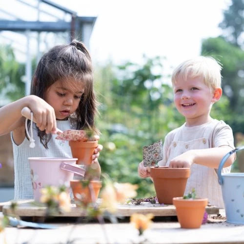 Kit de plantation - Tournesol