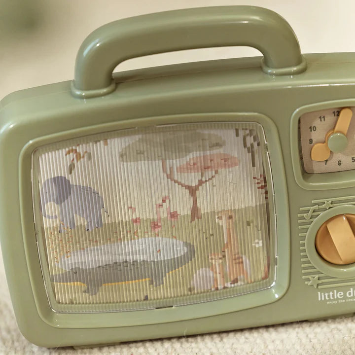 Télévision musicale - Safari friends