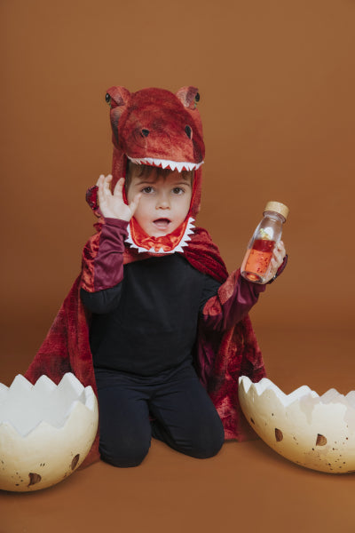 Bouteille sensorielle - T-Rex