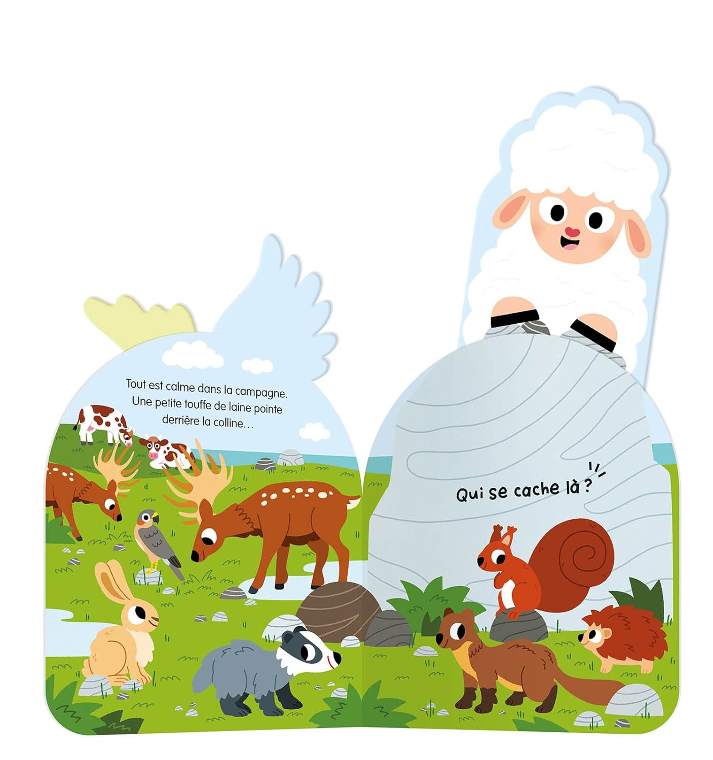 Mon coucou sonore - À qui sont ces drôles de crêtes ?