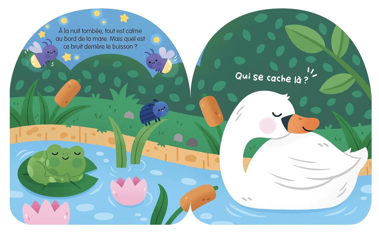 Mon coucou sonore - Qui fait dodo ici ?