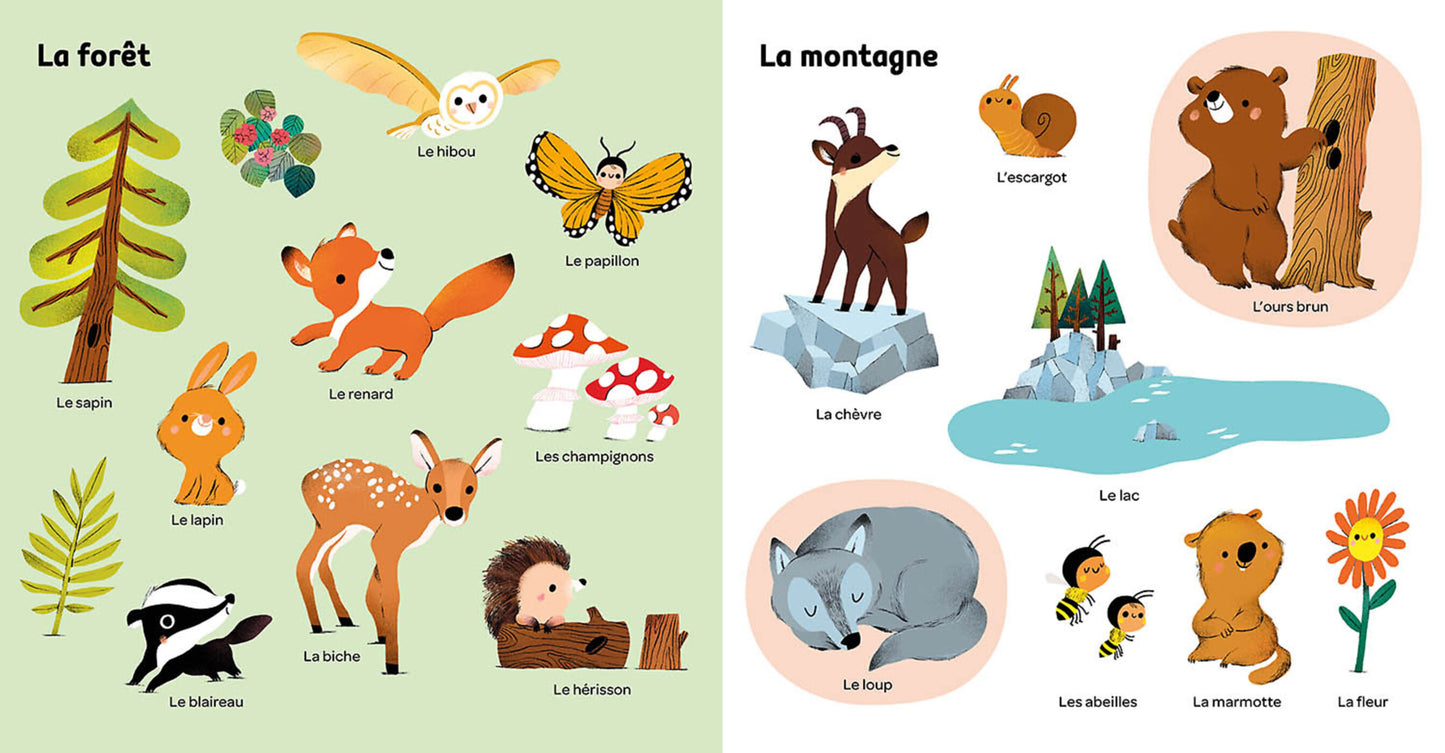 Livre - Mes 100 mots pour découvrir le monde