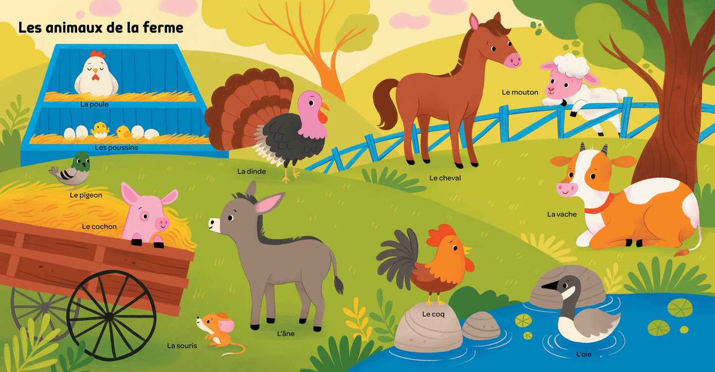 Livre - Mes 100 mots pour découvrir les animaux
