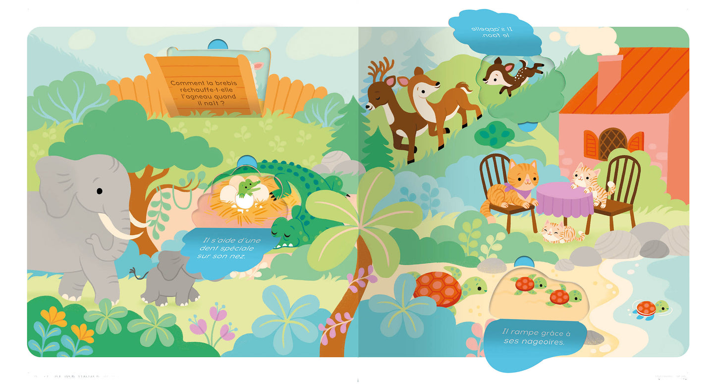 Livre - P'tit touche à tout - Les bébés animaux