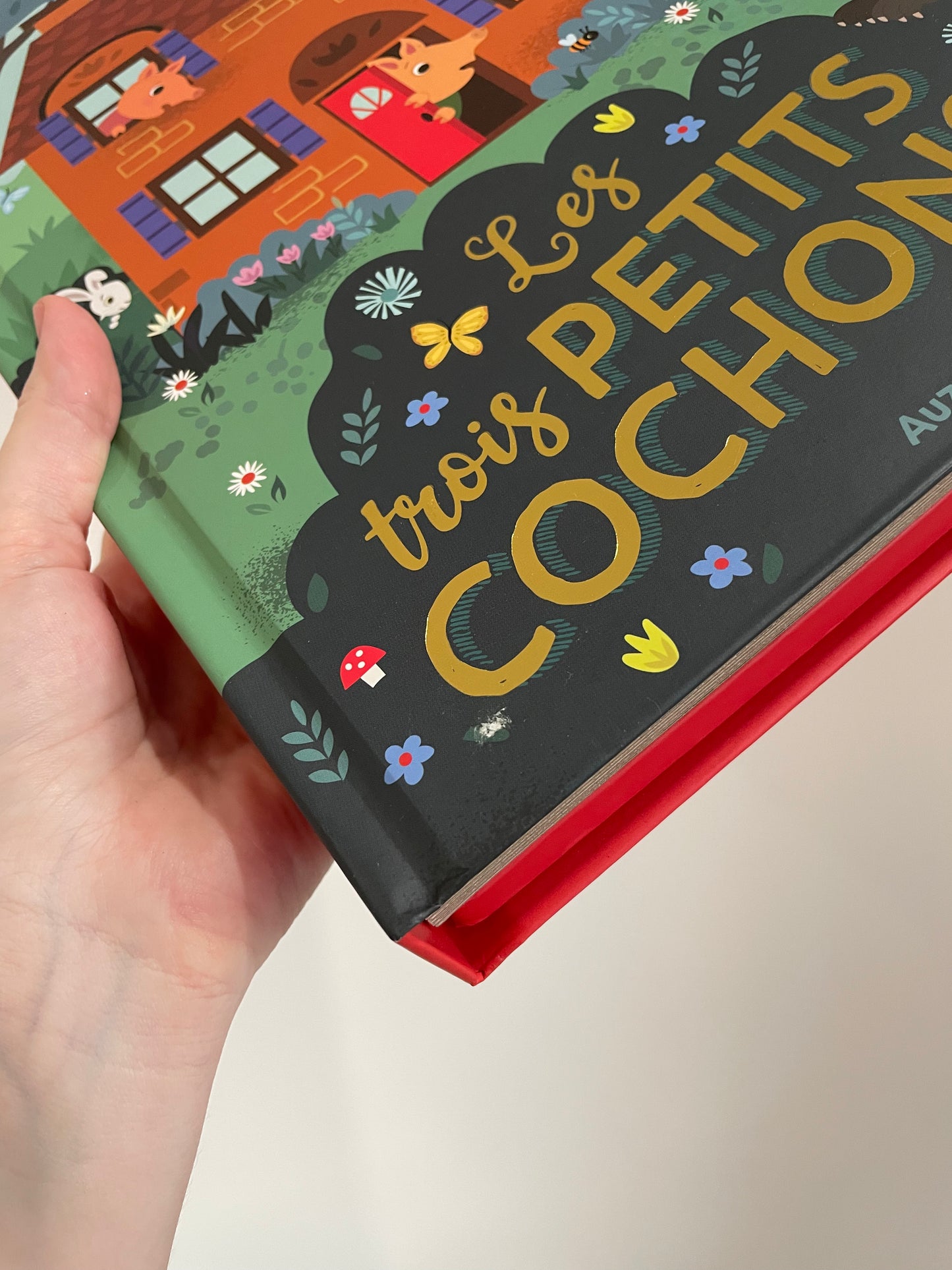 IMPARFAIT ｜Livre projecteur - Les 3 petits cochons - AUZOU