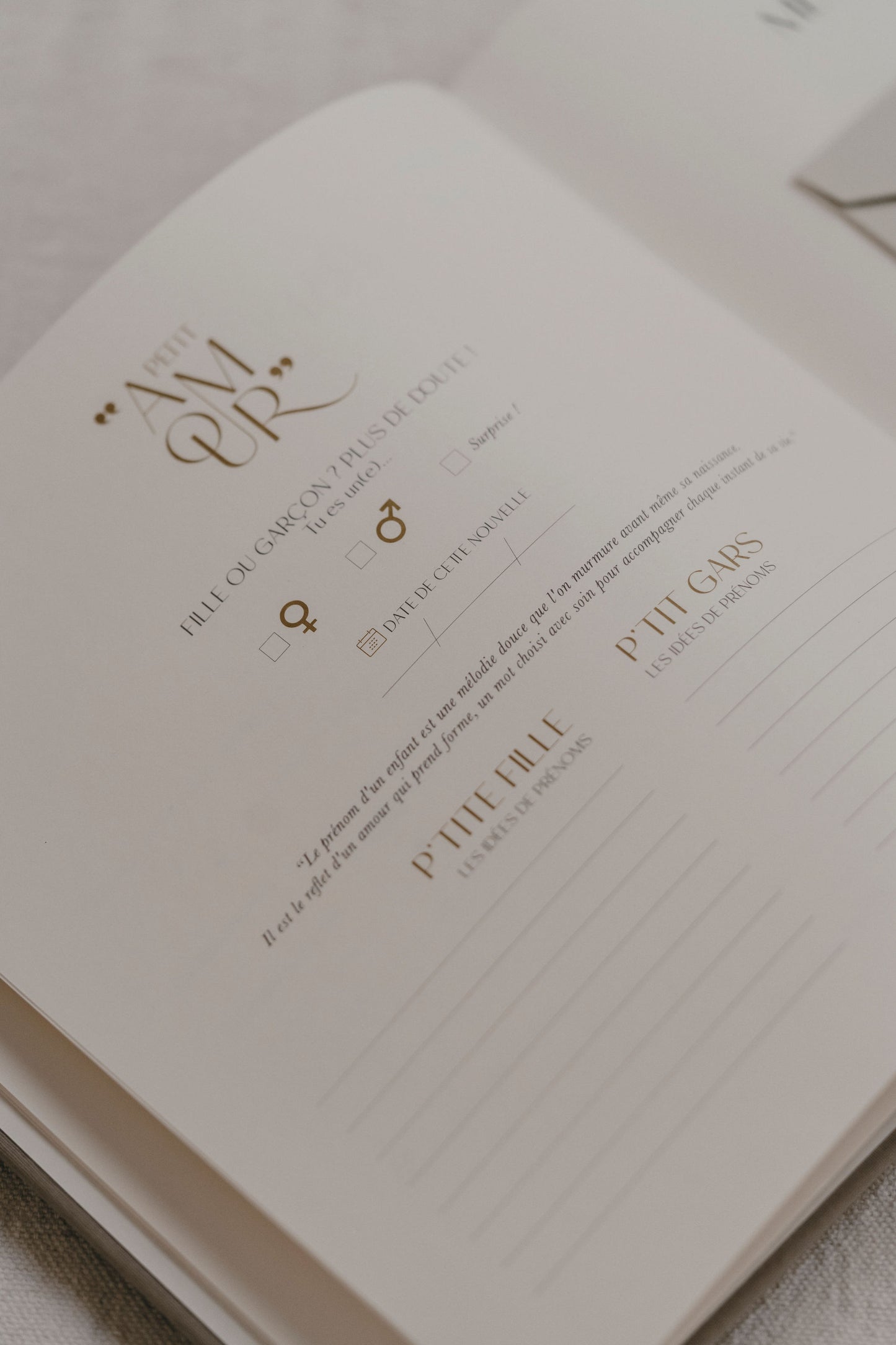 Livre de naissance - Pure Velours