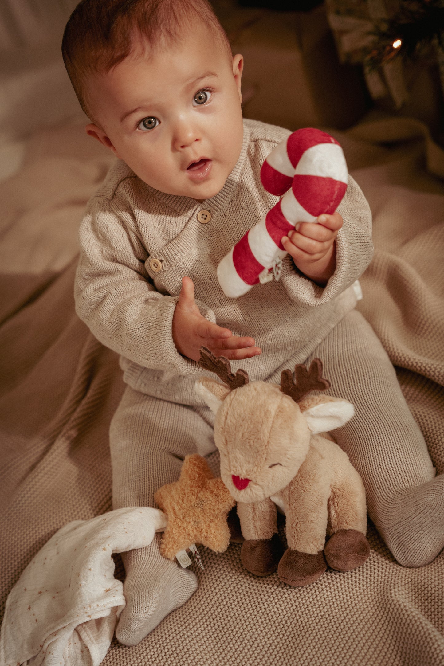 Coffret cadeau - Noël