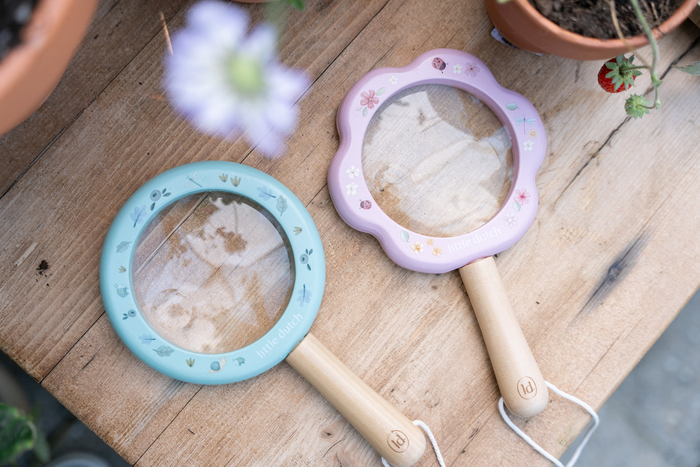 Loupe en bois Rose - Fairy Garden