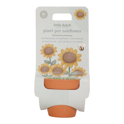 Kit de plantation - Tournesol