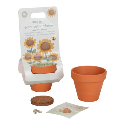 Kit de plantation - Tournesol