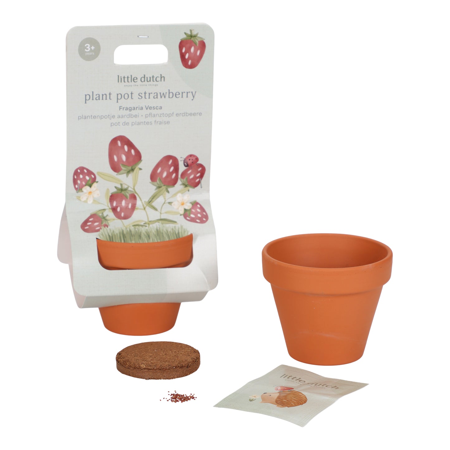 Kit de plantation - Fraises