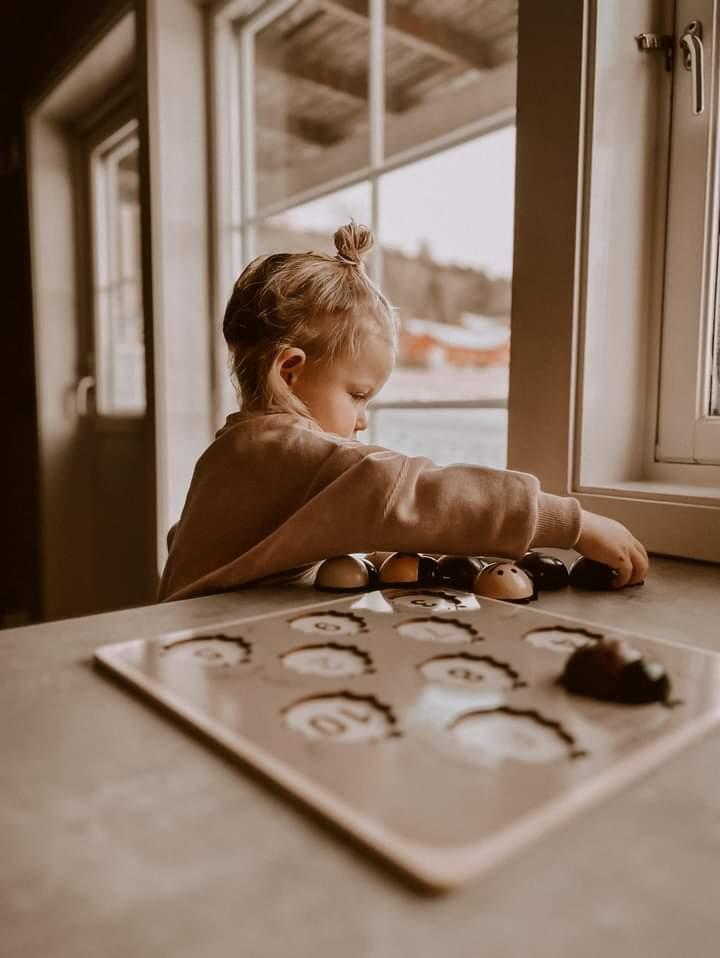 Puzzle en bois – Coccinelles à compter