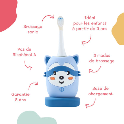 Brosse à dents électrique - Raton Laveur