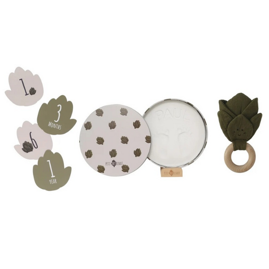 Coffret naissance – Petit Artichaut