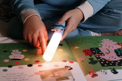 Lampe veilleuse nomade - Raton laveur