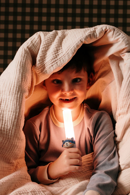 Lampe veilleuse nomade - Raton laveur