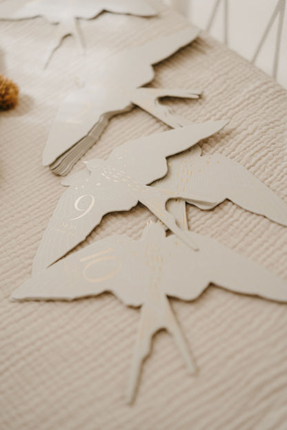 Cartes étapes - Birds