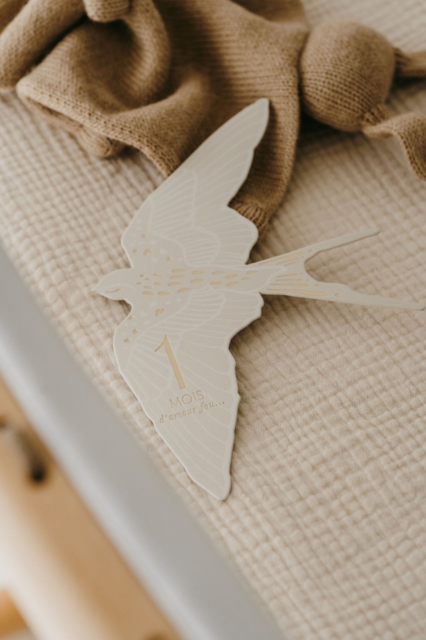 Cartes étapes - Birds