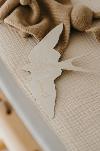 Cartes étapes - Birds