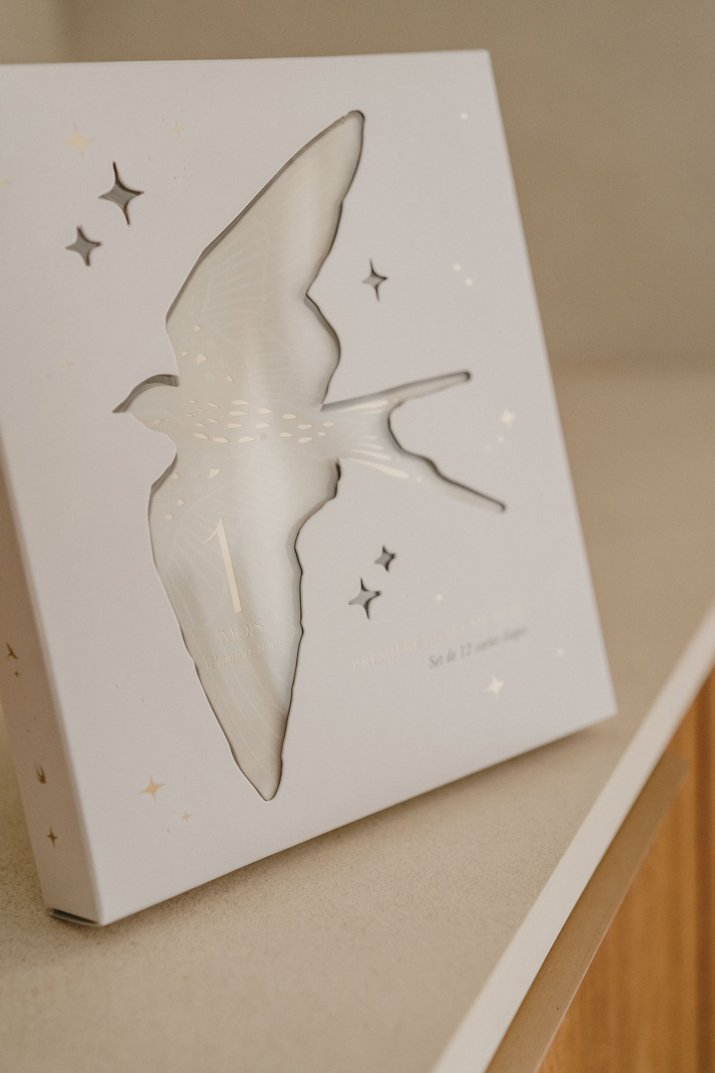 Cartes étapes - Birds