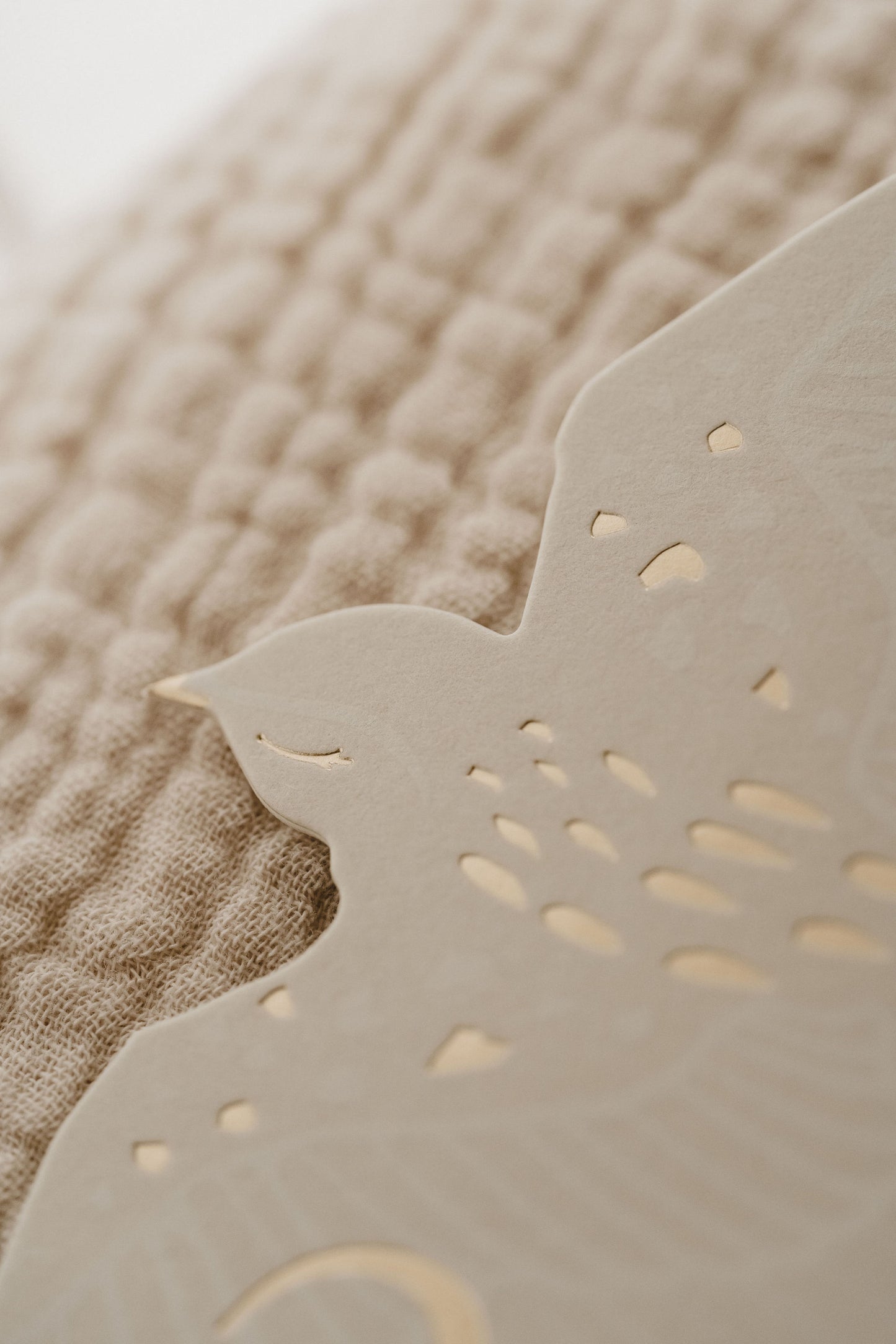 Cartes étapes - Birds