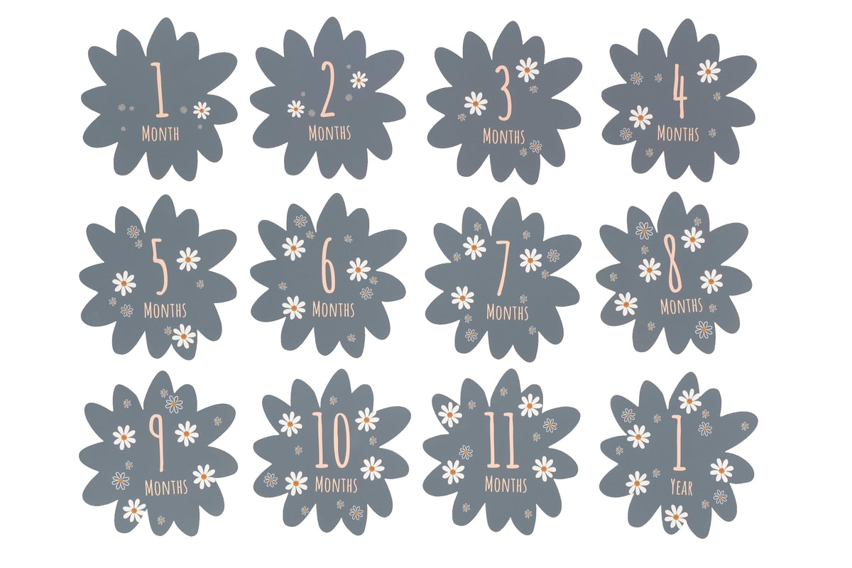 Coffret naissance - Daisy Blue