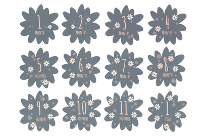 Coffret naissance - Daisy Blue
