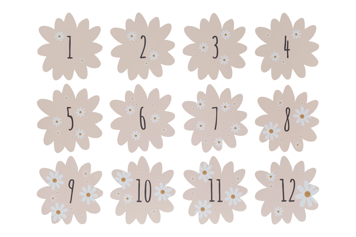 Coffret naissance - Daisy Blue
