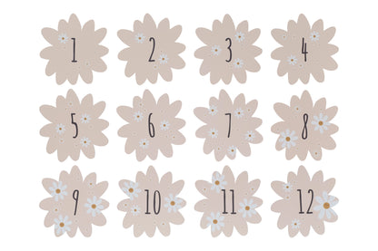 Coffret naissance - Daisy Blue