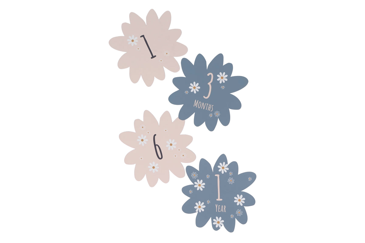 Coffret naissance - Daisy Blue