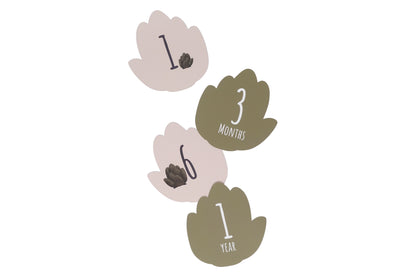Coffret naissance - Petit Artichaut