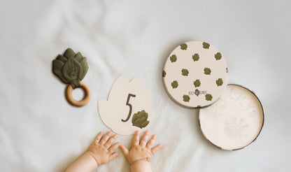 Coffret naissance - Petit Artichaut