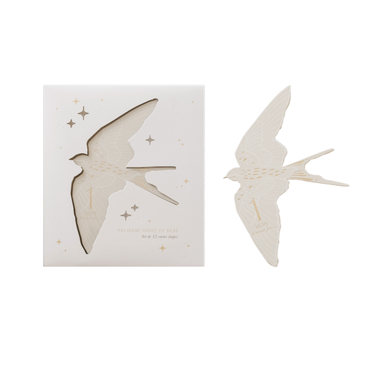 Cartes étapes - Birds