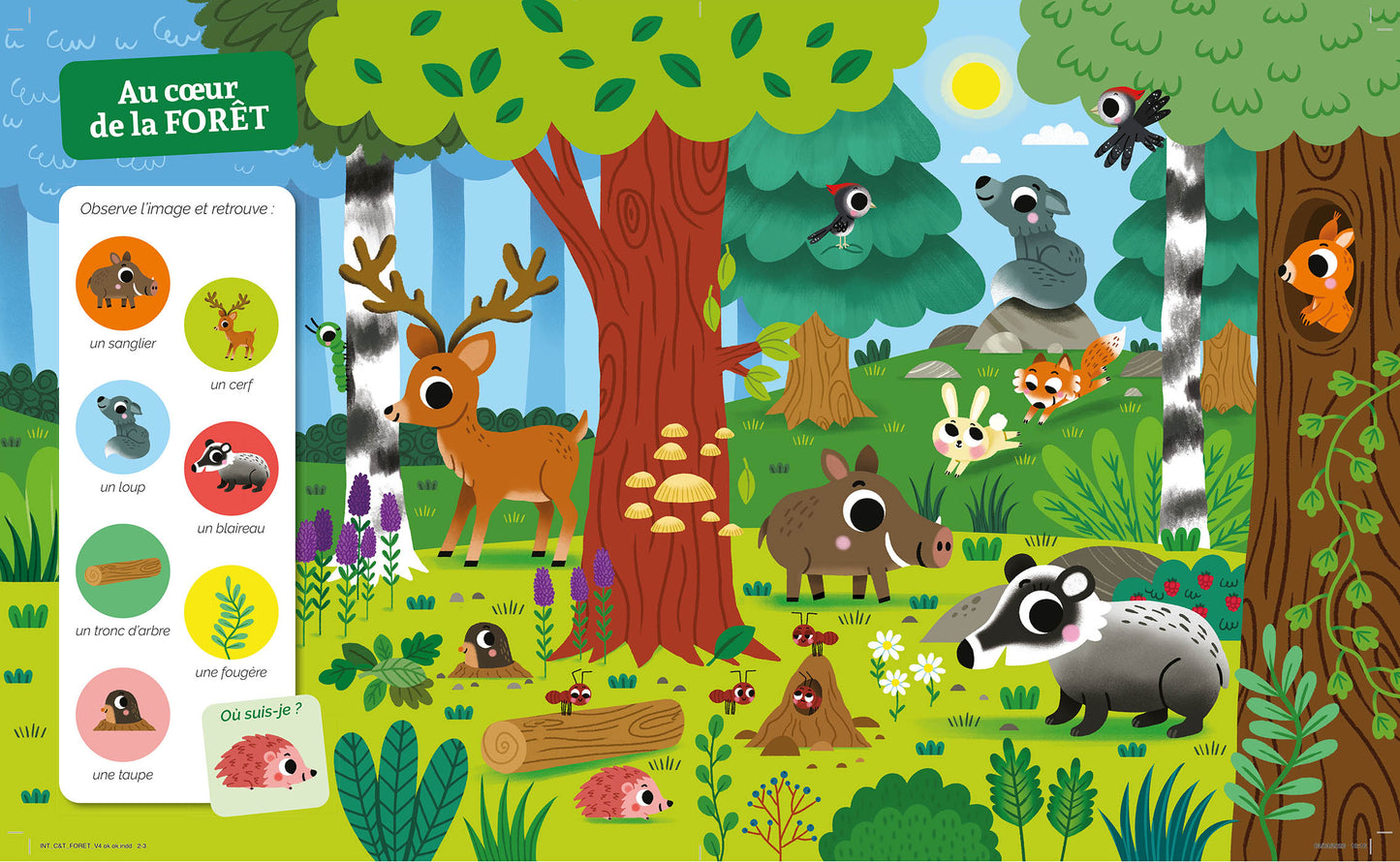 Cherche et Trouve des tout petits - Dans la forêt