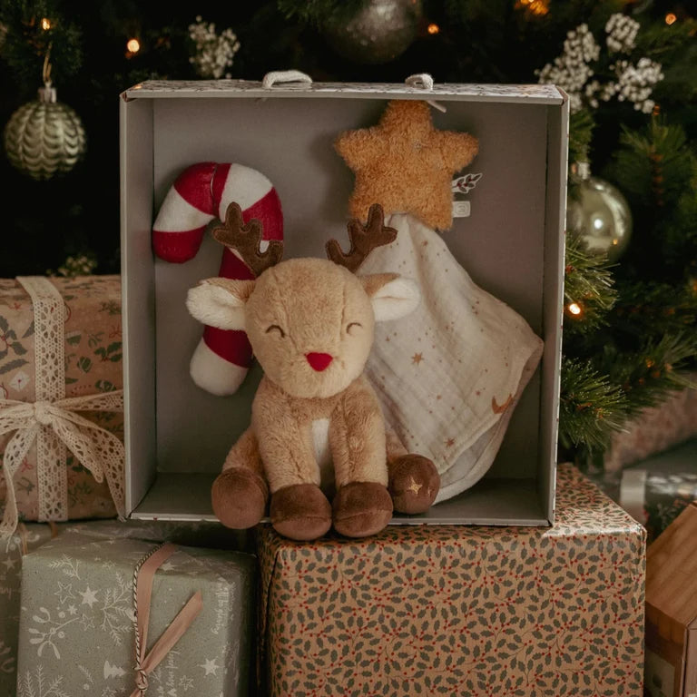 Coffret cadeau – Noël ( PRÉCOMMANDE ), vue 3