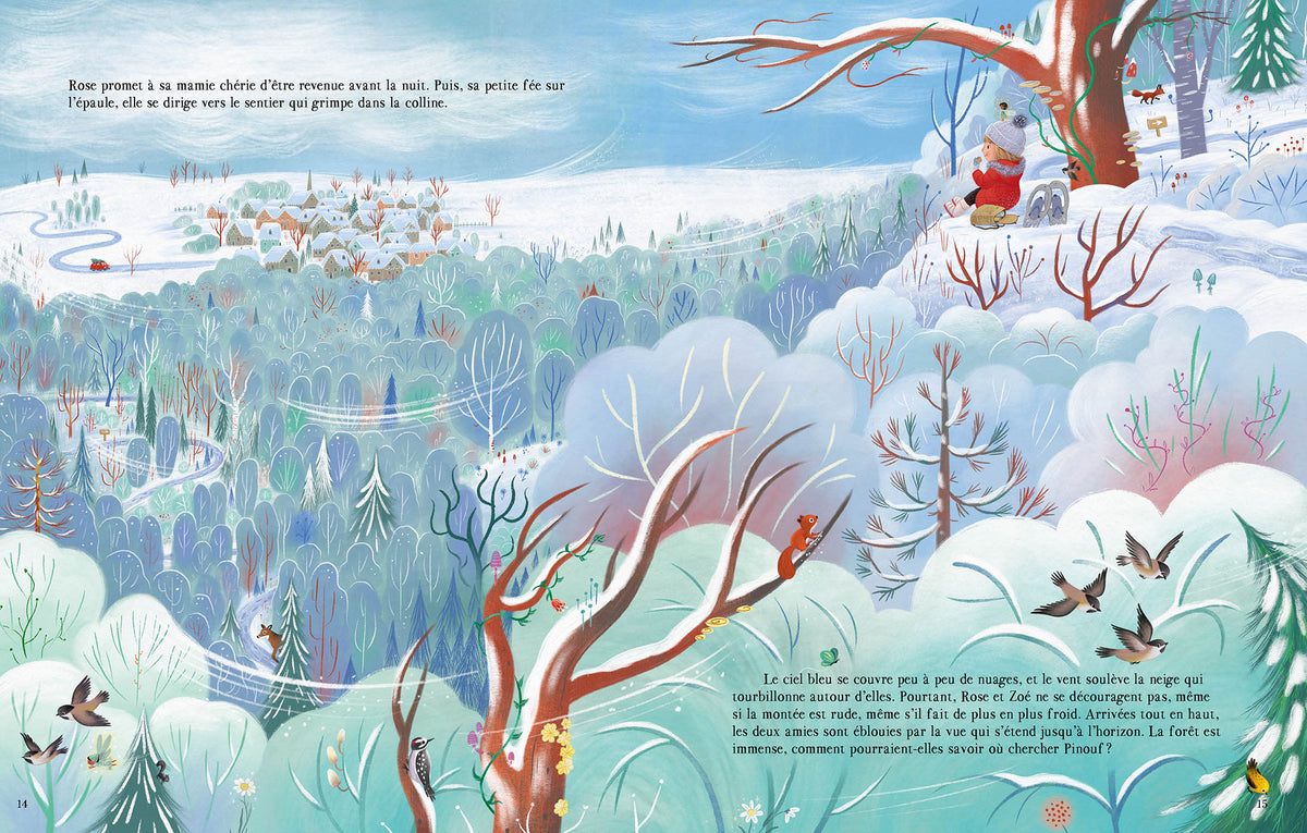Livre – La petite fée du père noël, vue 3
