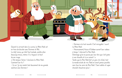 Mon album de l'avent – Les aventures secrètes de noël, vue 4