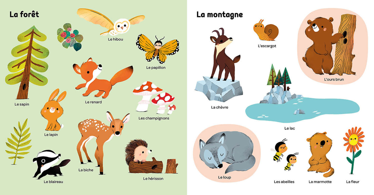 Livre – Mes 100 mots pour découvrir le monde