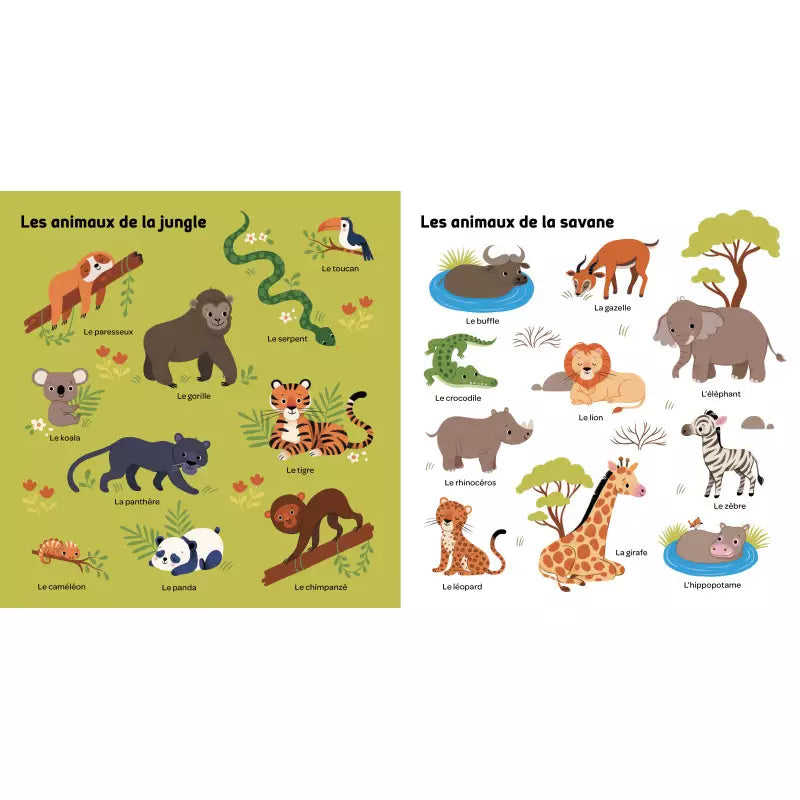 Mes 100 mots pour découvrir les animaux
