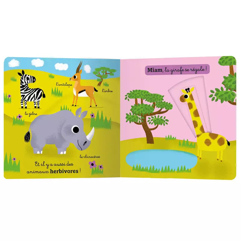 Mon Anim'agier - La jungle et la savane