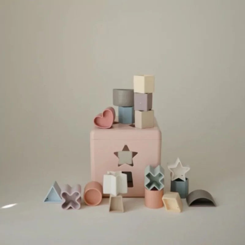 Boîte à formes cube Rose -  12 pièces